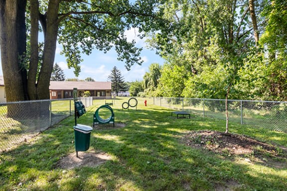 a park with a playground and a tree
