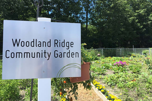 community garden at Woodland Park Apartments
