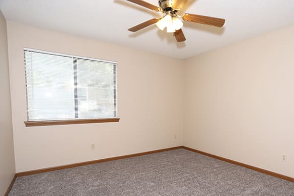 Overhead Light and Ceiling Fan