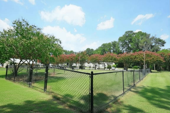 A black fence surrounds a green field.
