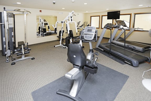 A gym with a treadmill, weights, and exercise equipment.