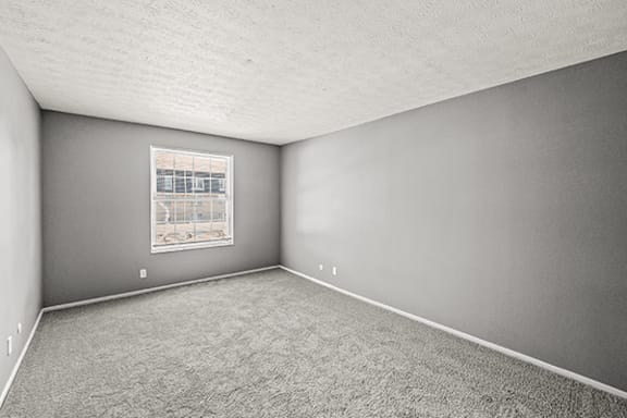 A room with grey walls and a carpeted floor.