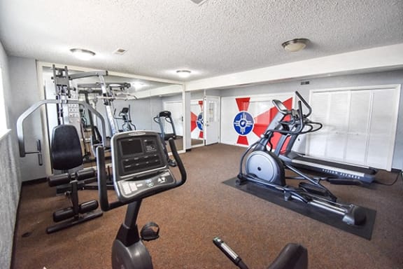 the gym is equipped with cardio equipment and weights
