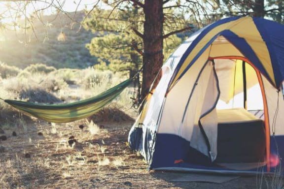a tent in the woods with a hammock next to it