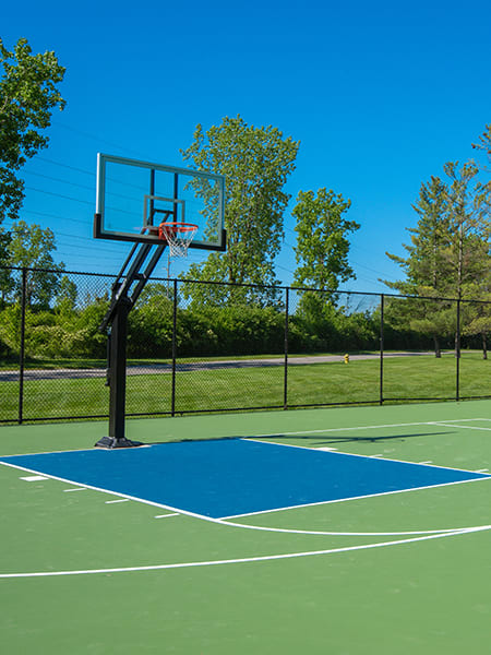 a basketball hoop on a green and blue court with trees