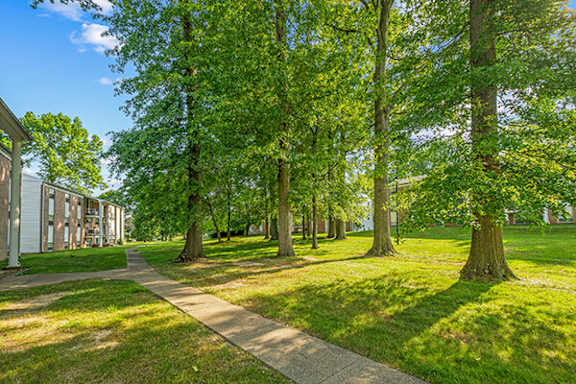 A pathway in a park with trees on both sides.