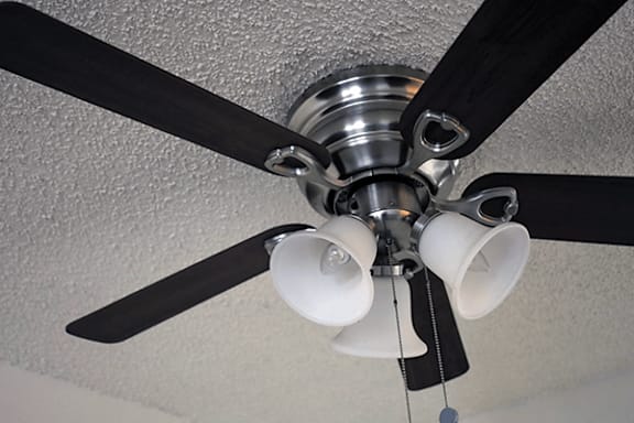 A ceiling fan with three blades and three lights.