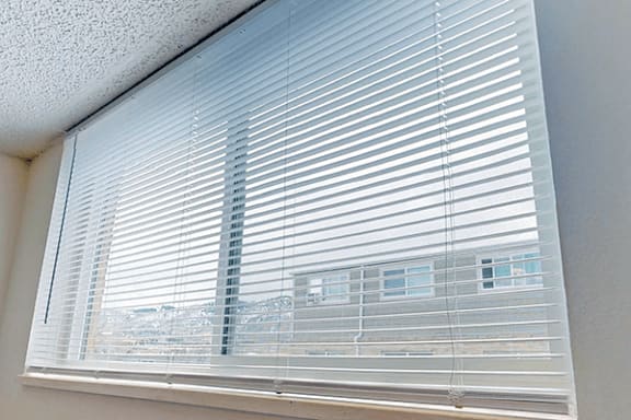 A window with white blinds partially closed.