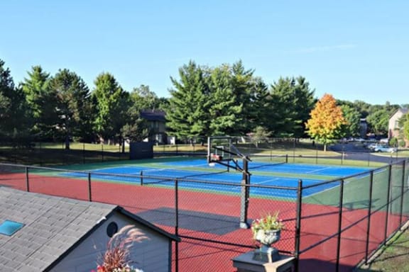 Fox Hill Glens Basketball