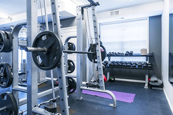 A gym with a squat rack, bench, and weights.