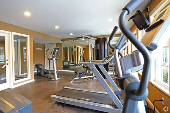a gym with weights and cardio equipment in a home gym