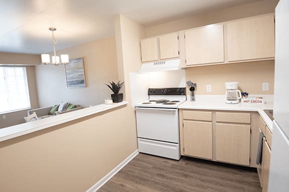 A kitchen with a white dishwasher and stove top oven.