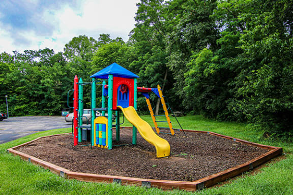 a playground with a slide and monkey bars