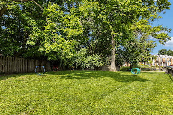 A backyard with a green lawn and trees.