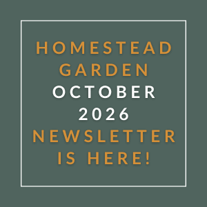 a white background with green text that reads afford oaks february 2024 newsletter