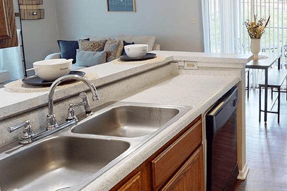 A kitchen with a double sink and a bowl on the counter.