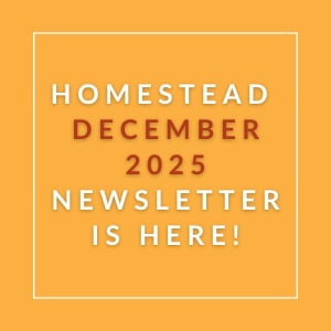 The image announces the availability of the Homestead December 2025 Newsletter.