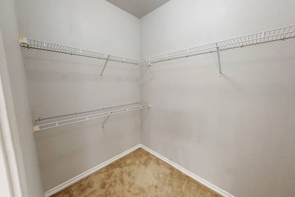 Empty white closet with shelves and carpeted floor.