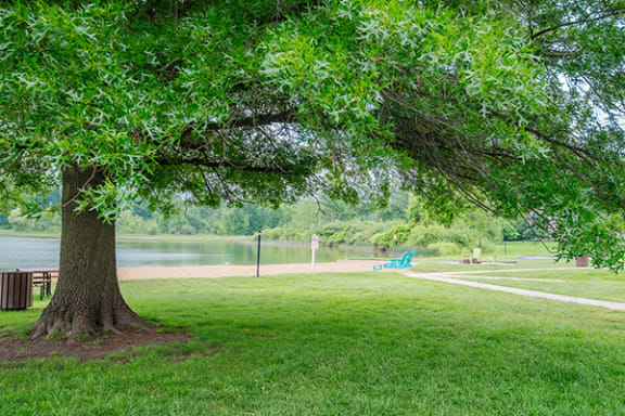 beautiful grounds at lamberton lake apartment with a lake and a tree