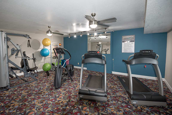 a gym with exercise equipment and a ceiling fan in lamberton lake apartments