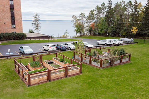 A parking lot with cars and a building in the background.
