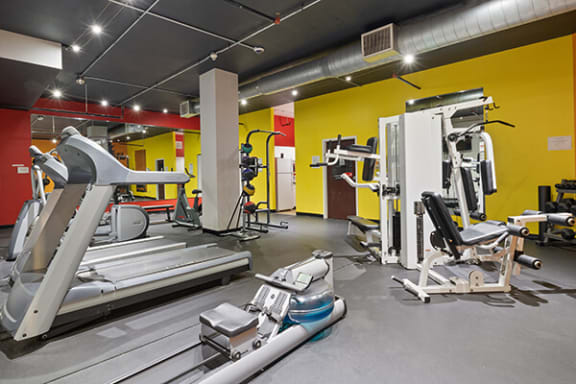 a gym with cardio equipment and weights in a building