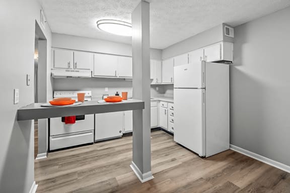 apartment with breakfast bar