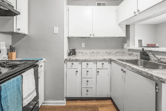 apartment kitchen cabinets