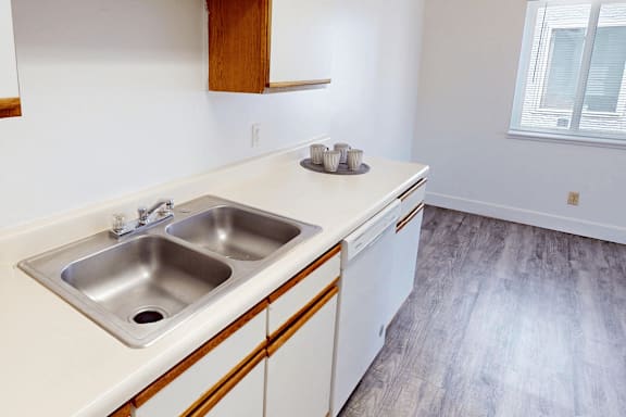 A kitchen with a sink and a window.