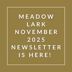 The image announces the availability of the Meadow Lark November 2025 newsletter.