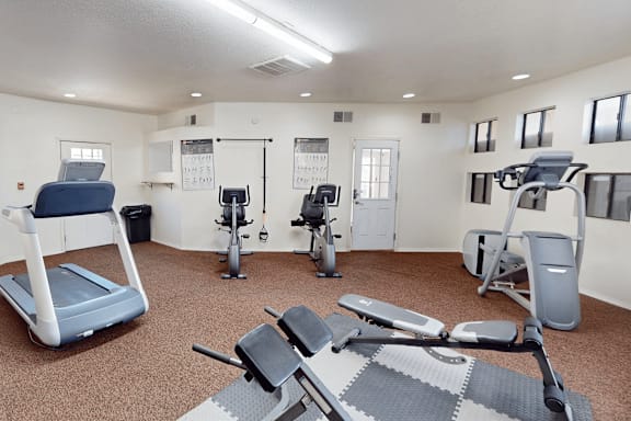 A gym with treadmills, exercise bikes, and other equipment.