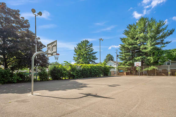 a basketball court in the middle of a park