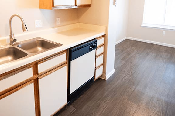 A kitchen with a sink and a dishwasher.