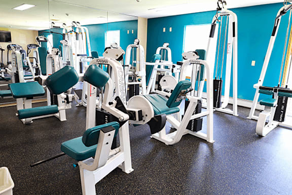 A gym with blue walls and various exercise machines.