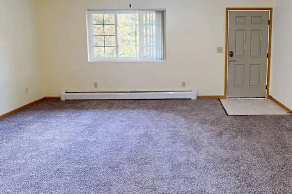 A room with a grey carpet and a white door.
