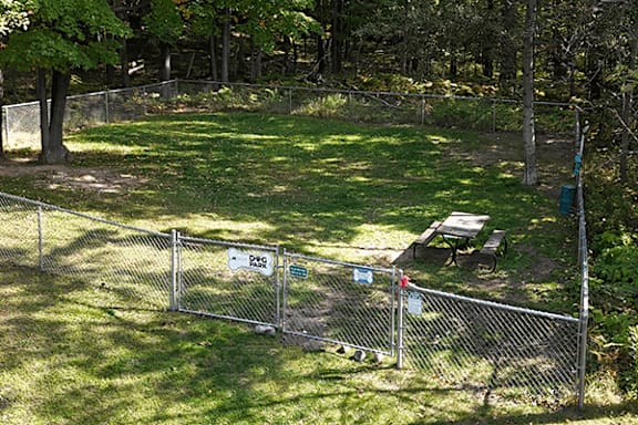 A chain link fence surrounds a green field.