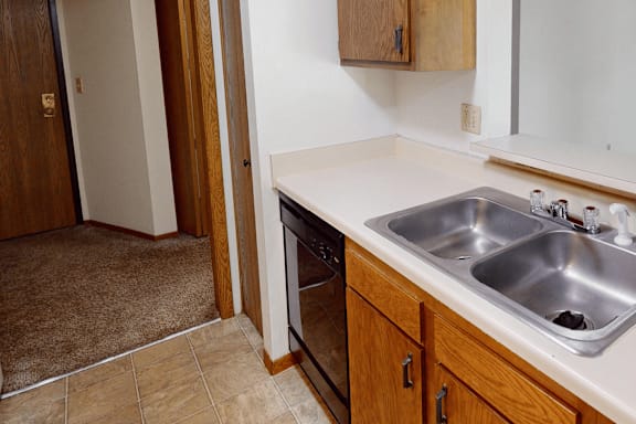 A kitchen with a sink and a dishwasher.