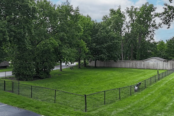 A black fence surrounds a green yard.