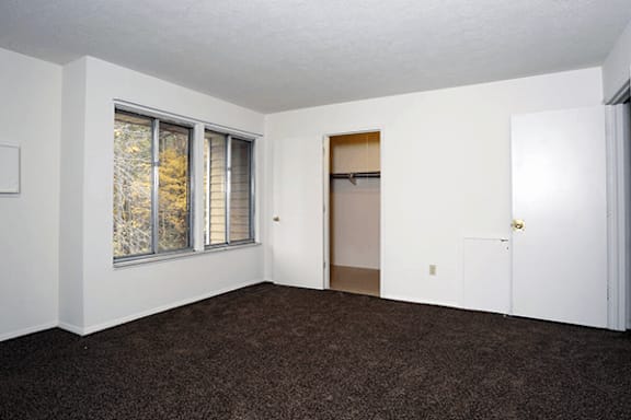 A room with a brown carpet and a white door.