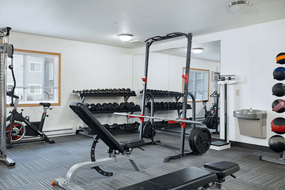 A gym with a bench, weights, and exercise equipment.