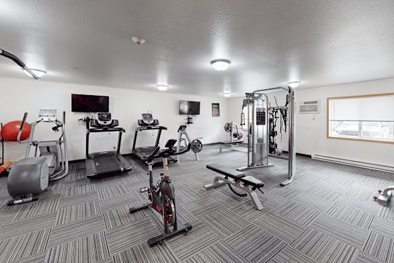 A well-equipped gym with a variety of exercise machines.