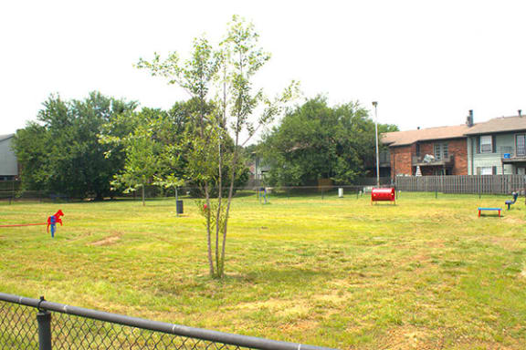 a tree in the middle of a field