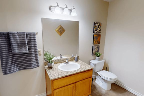 A bathroom with a toilet, sink, and mirror.