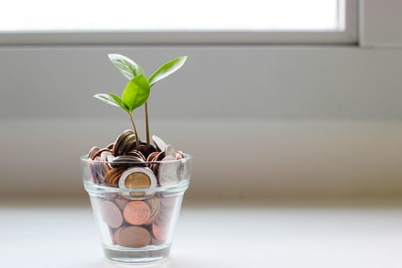 a plant growing out of a cup of coins