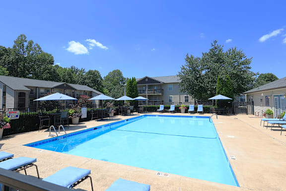 A large blue swimming pool surrounded by sun loungers and umbrellas.