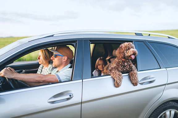 A dog is sitting in the passenger seat of a car with a man driving and a woman in the back seat.