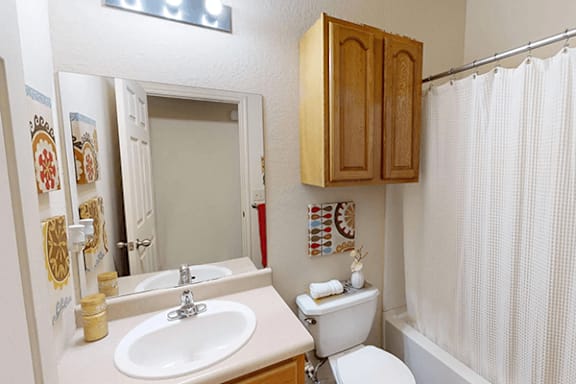 A bathroom with a sink, toilet, and shower curtain.