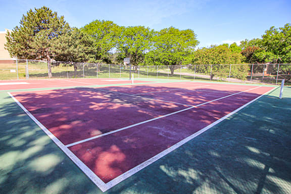 a tennis court with trees in the background