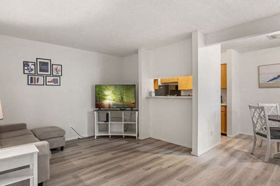 a living room with vinyl flooring