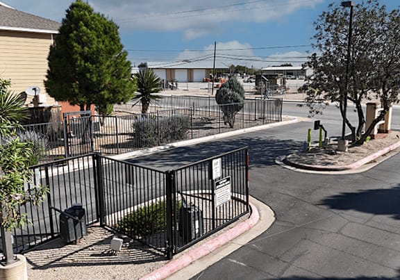 A black metal fence surrounds a tree in a residential area.